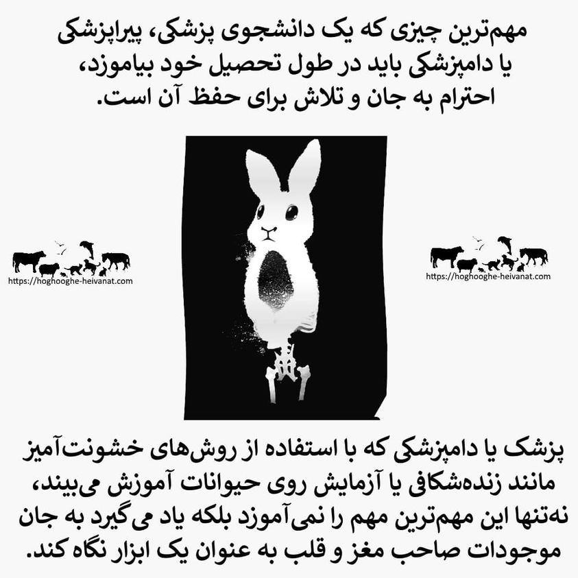 animal testing for training