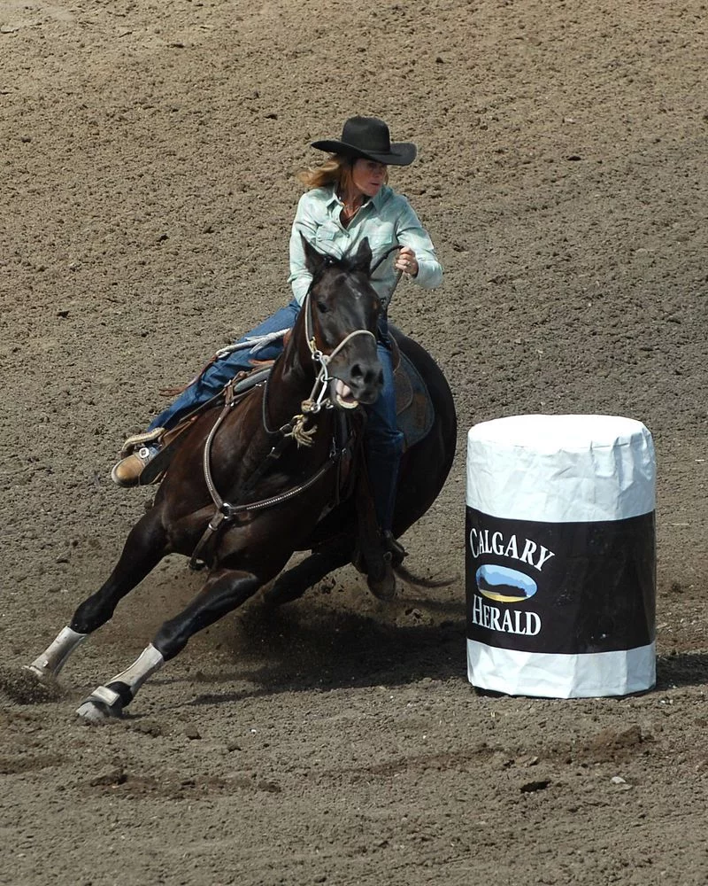 Rodeo barrel racing