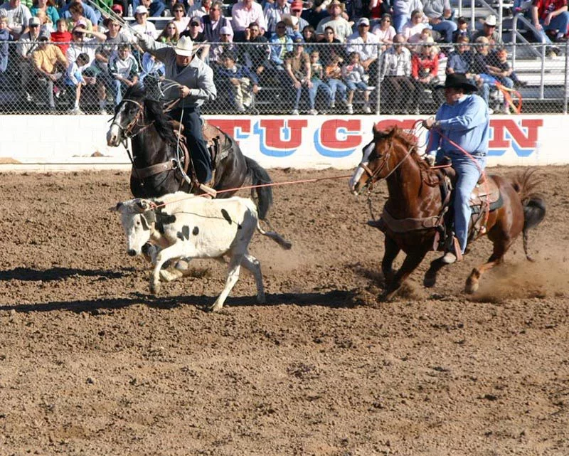 rodeo team roping
