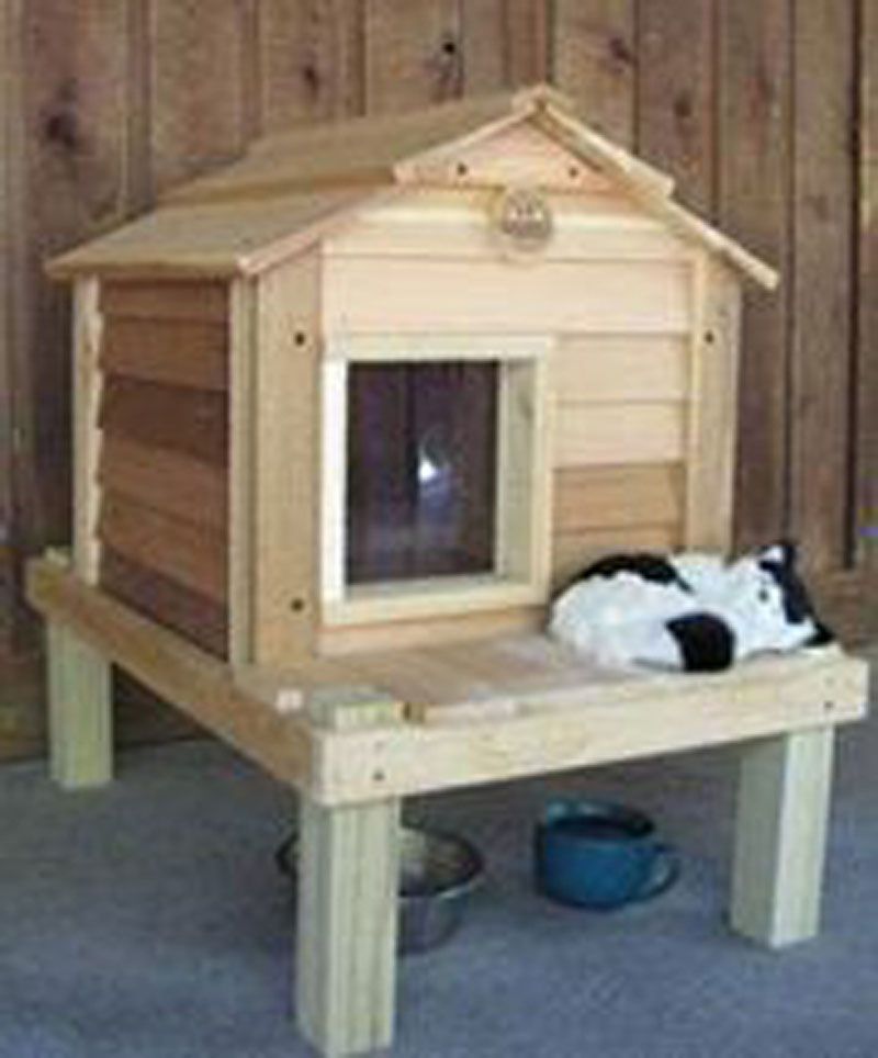cat shelter 7