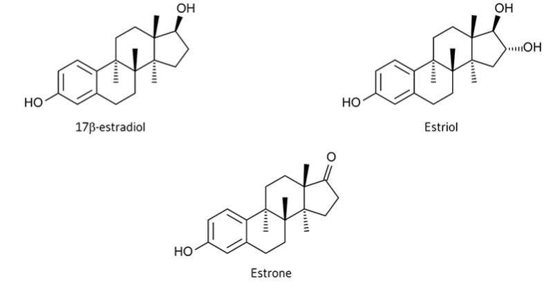 Estrogenes