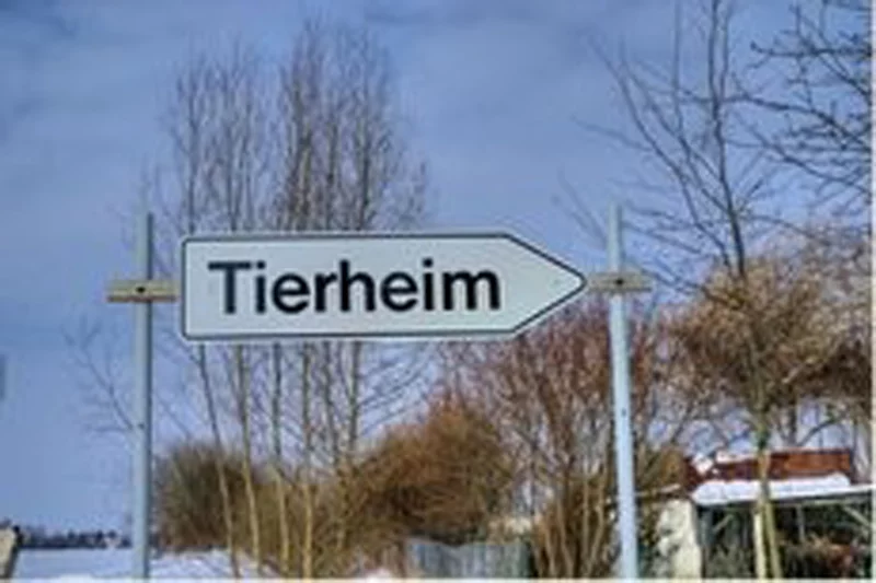 Tierheim