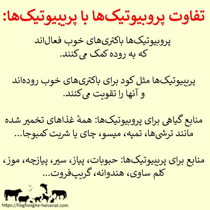 Probiotics vs prebiotics