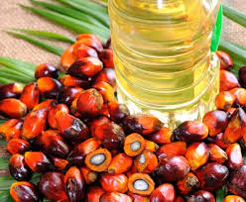palm oil1