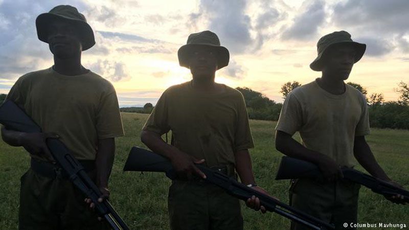 zimbabwe rangers