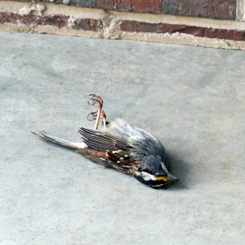 WTS March 2018 1024x1024