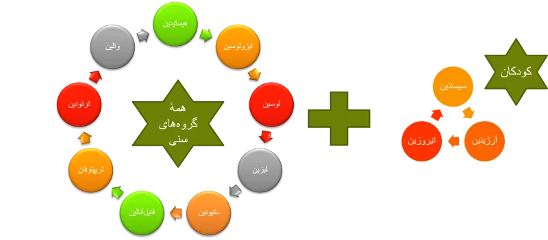 essential aminoacids