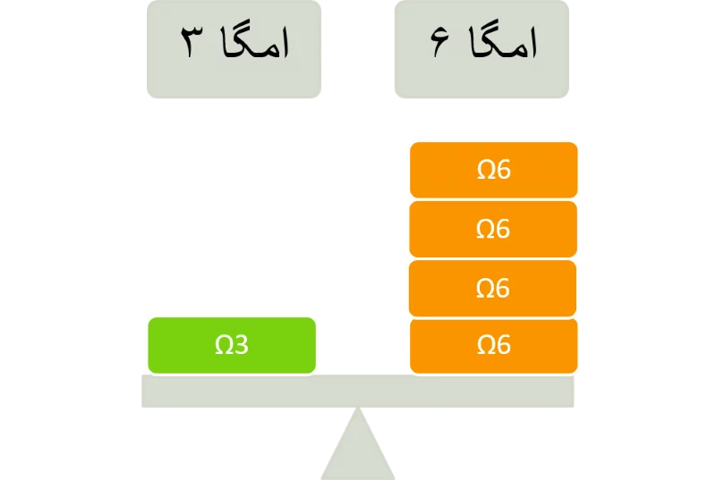 omega3 omega6 balance